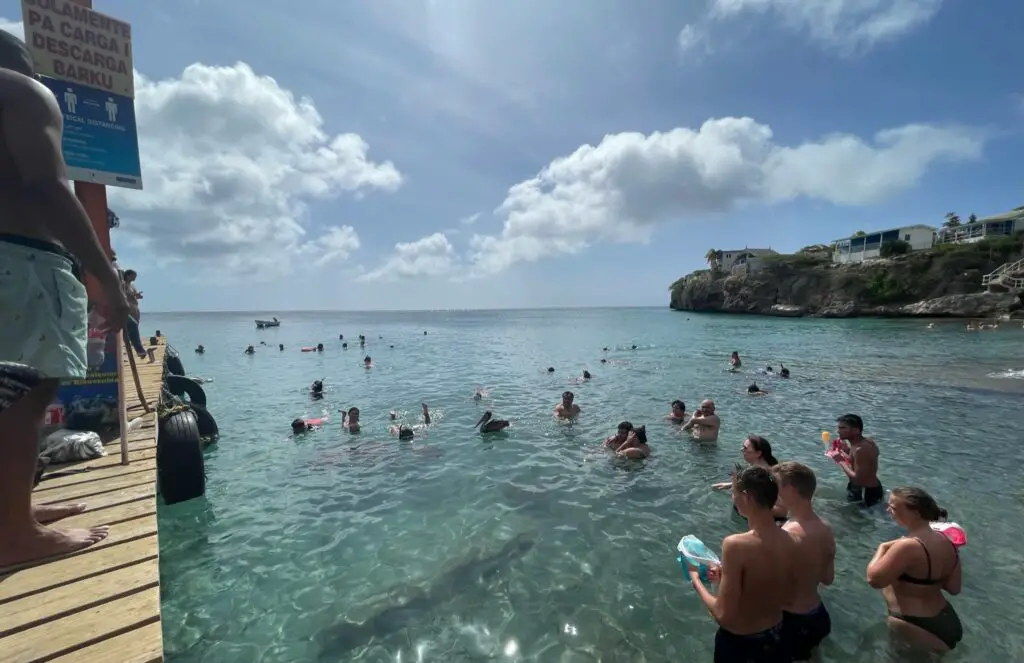 Swimming with turtles - Curaçao - Playa Piskado