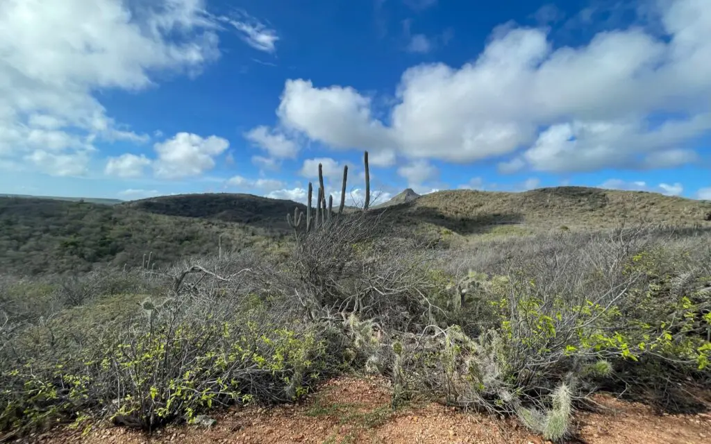 Curaçao - location - vegetation - airport - hato