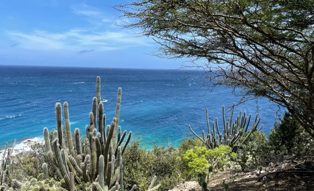 Curacao ocean view