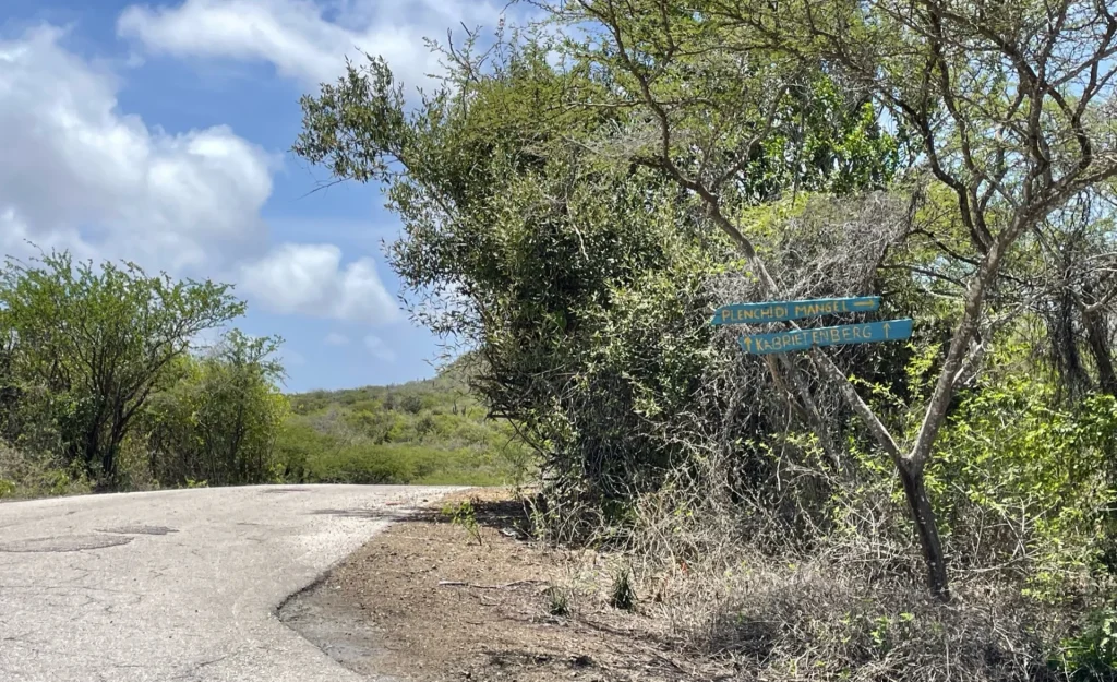 Do you need a car in Curaçao