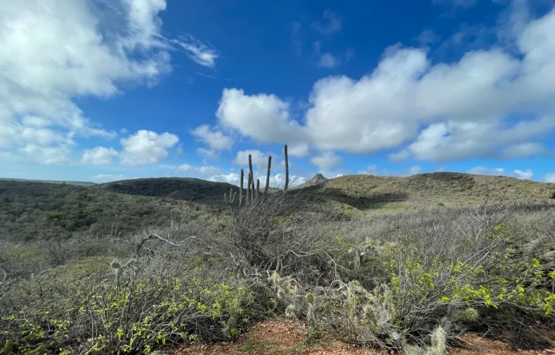 Curaçao dry vegetation climate landscape hills