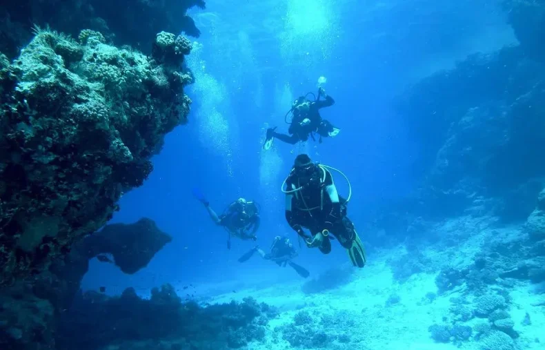 Diving at Directors Bay
