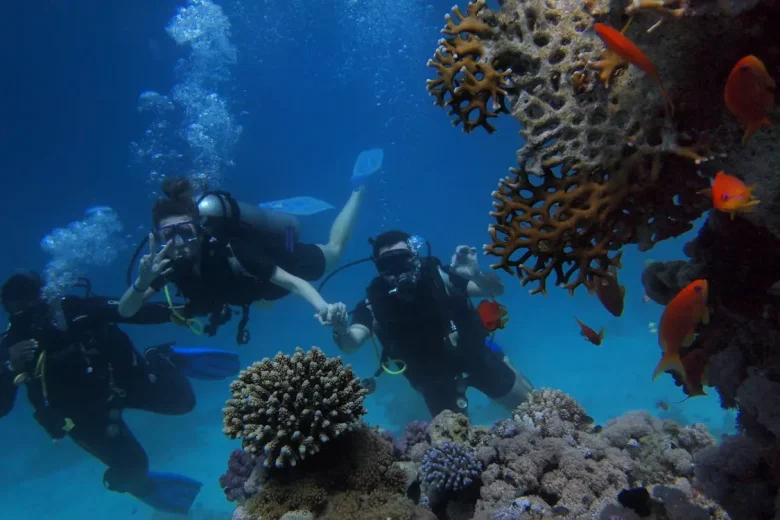 Diving at Playa Porto Mari Curaçao