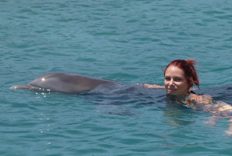 Swimming with dolphins in Curaçao at the Dolphin Academy.