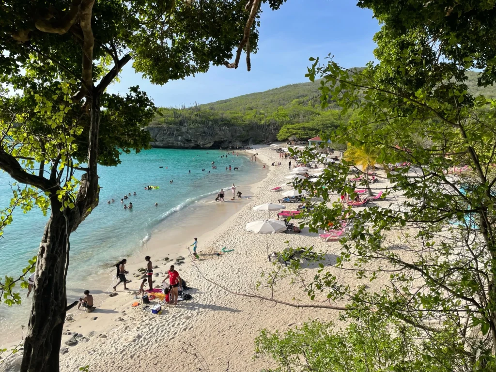 Grote Knip Beach Tour for Snorkeling