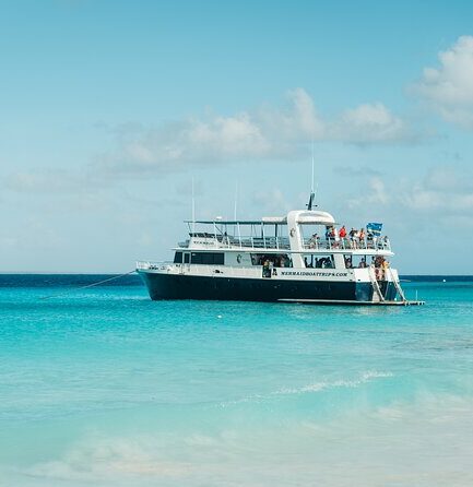 Mermaid boat trips