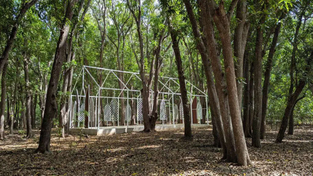 Mango Forest Hofi Mango Curacao